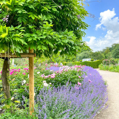 Ein schöner Ausflug vor die Tore Hamburgs: das Arboretum in Ellerhoop