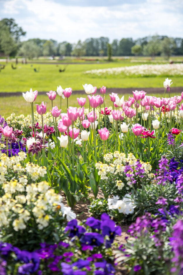 Ich nehm Euch mit auf die Landesgartenschau in Beelitz wo sich nicht nur alles um die Gärten sondern auch um den Spargel dreht.