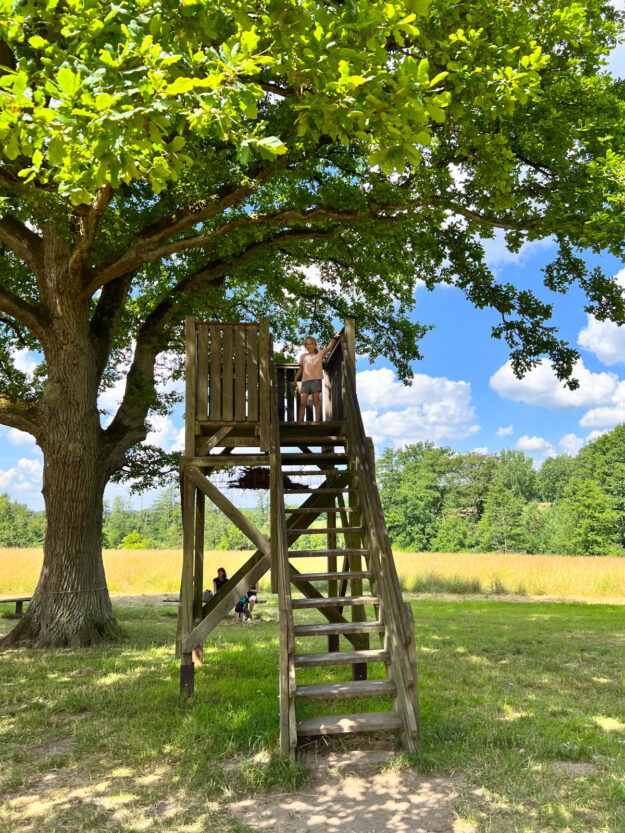 Monatsrückblick tastesheriff - Juni 2022