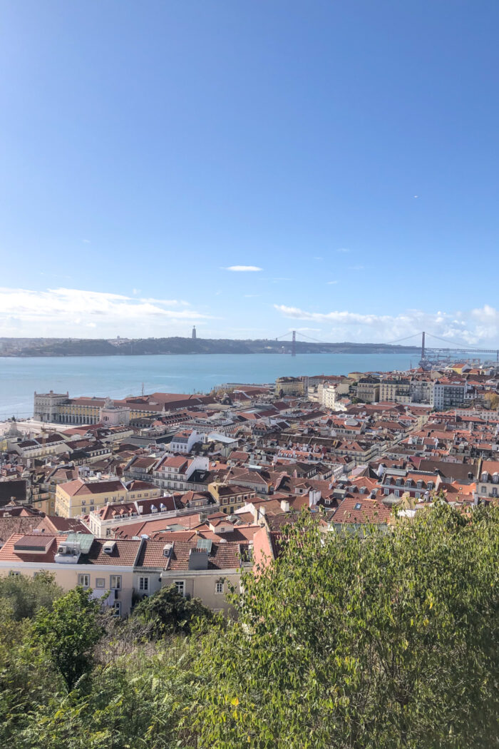 Die besten Mitbringsel aus Portugal