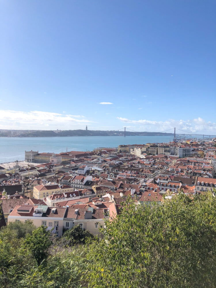 die besten Mitbrigsel aus Portugal / Tastesheriff