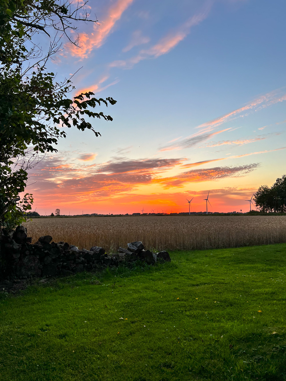 Im Juli unterwegs – der Monatsr&uuml;ckblick in der Sommerferien Edition