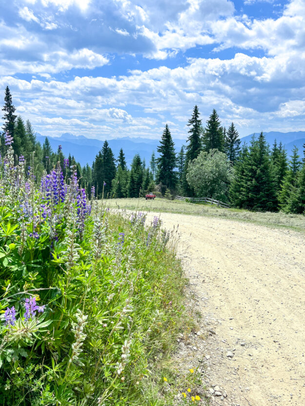 Sommer in Südtirol und meine liebsten Wanderungen mit Kindern