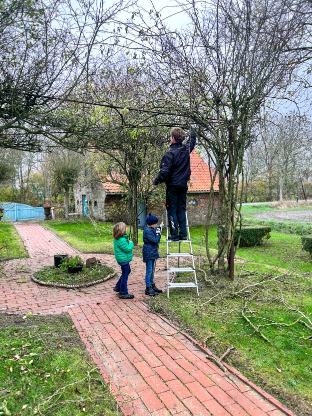 Landleben - 12 von 12 im November