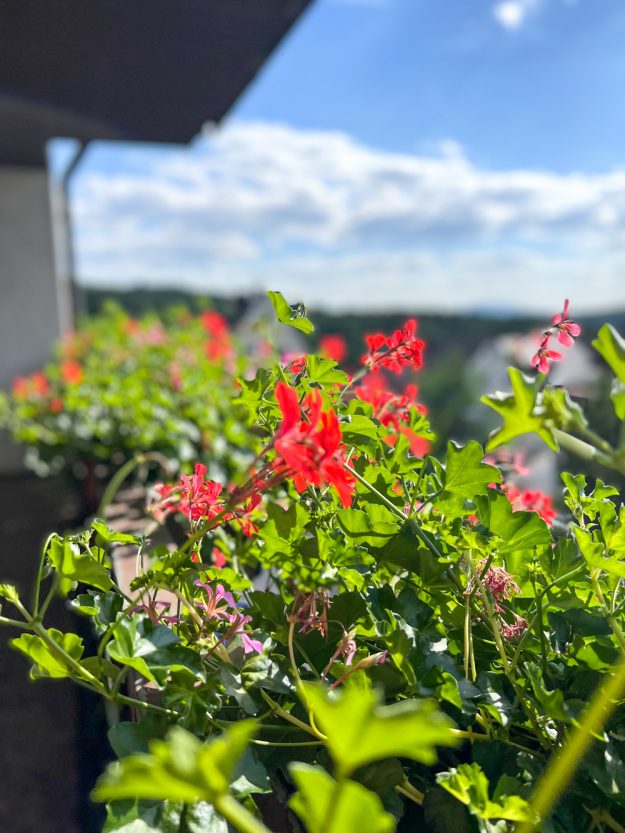 Seinen Urlaub mit einem schönen Stopover abklingen zu lassen. Das haben wir gemacht und waren für ein paar Tage in Franken im Landidyll Hotel zum alten Schloss.