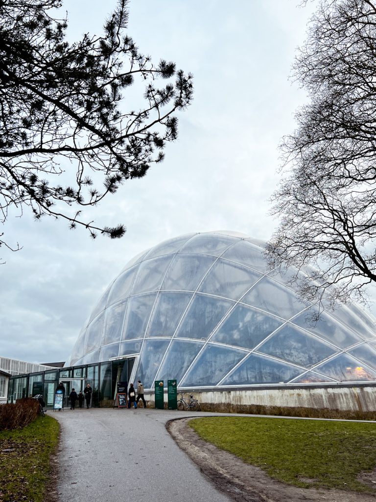 Ein Familienkurztrip nach Aarhus meine 5 Highlights