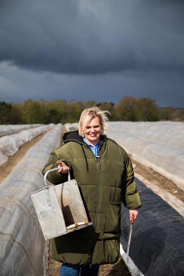 Vom Feld auf unseren Teller-Bei meinem Besuch auf dem Spargelhof in Inzmühlen habe ich viele Fragen gestellt, Spargel gestochen und mir das Sortieren angeguckt.