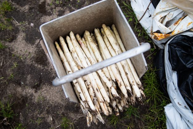 Vom Feld auf unseren Teller-Bei meinem Besuch auf dem Spargelhof in Inzmühlen habe ich viele Fragen gestellt, Spargel gestochen und mir das Sortieren angeguckt.