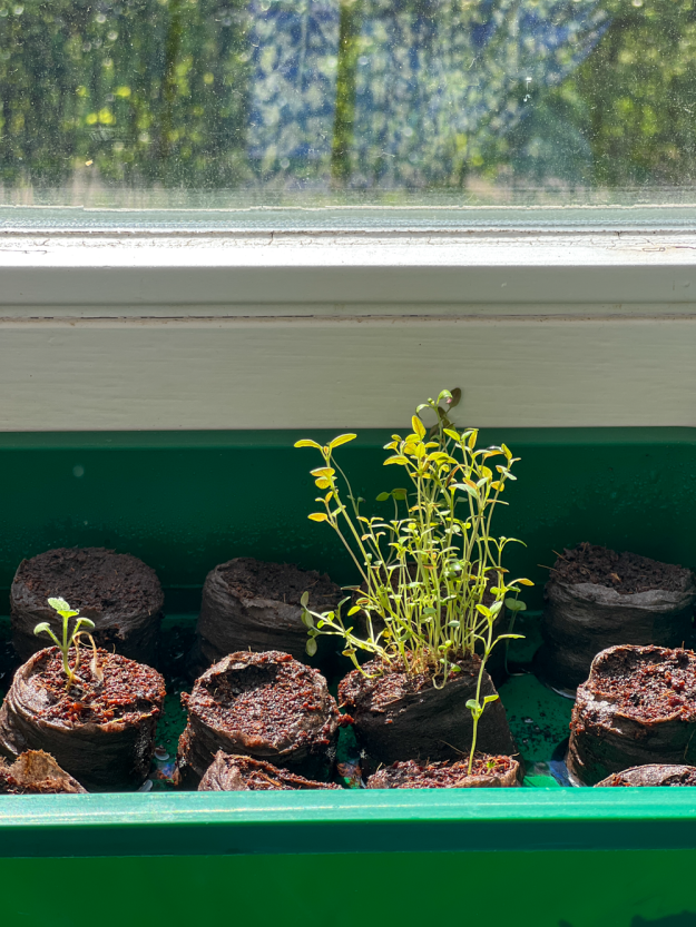 Ferienanfang in Hamburg - mein 12 von 12. - kommt mit mir durch den Tag!