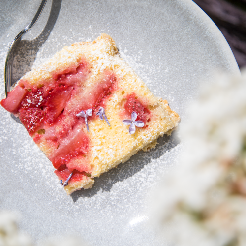 Schnell, Schneller, Erdbeerbiskuit vom Blech! Gibt es was besseres als in 30 Minuten einen frischen Kuchen auf der Kaffeetafel zu haben? Also heizt den Ofen an!