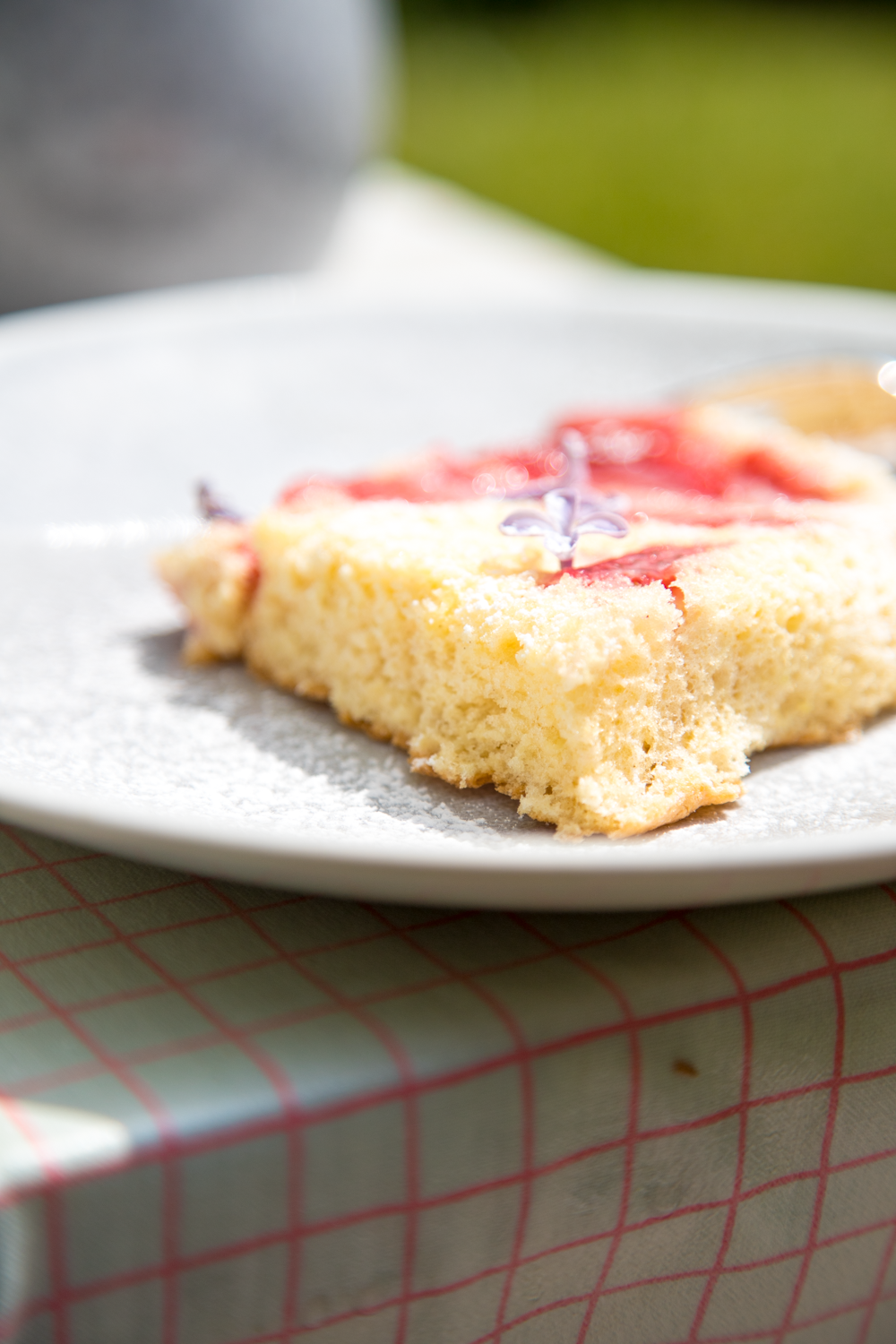 Erdbeer-Biskuitkuchen vom Blech-3477 | tastesheriff