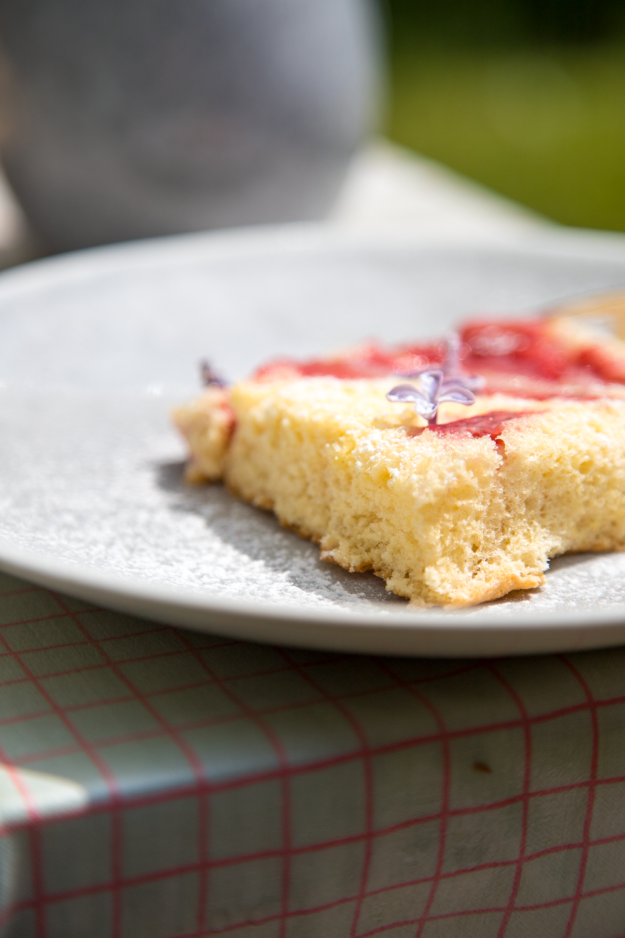Schnell, Schneller, Erdbeerbiskuit vom Blech! Gibt es was besseres als in 30 Minuten einen frischen Kuchen auf der Kaffeetafel zu haben? Also heizt den Ofen an!