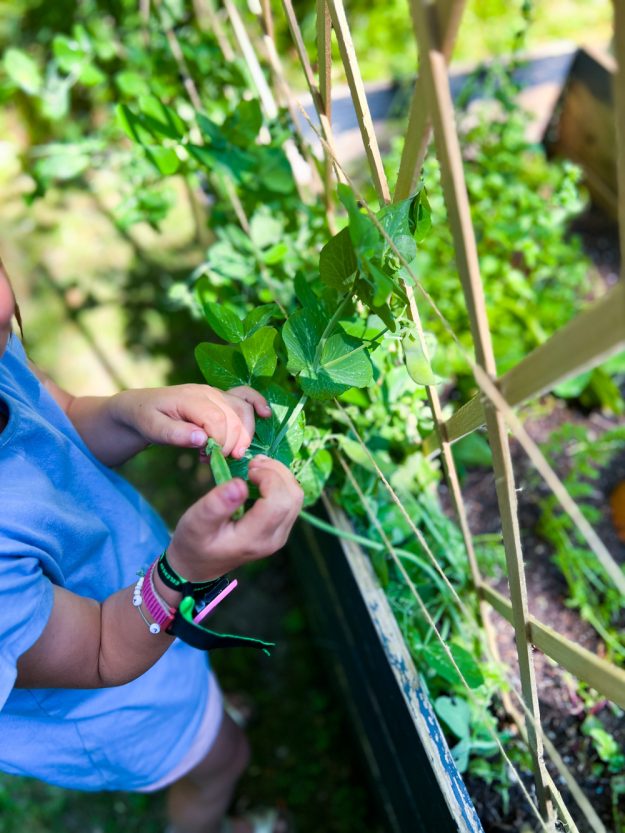 12 von 12 - Ein Montag voller Rezepten und Sonnenschein