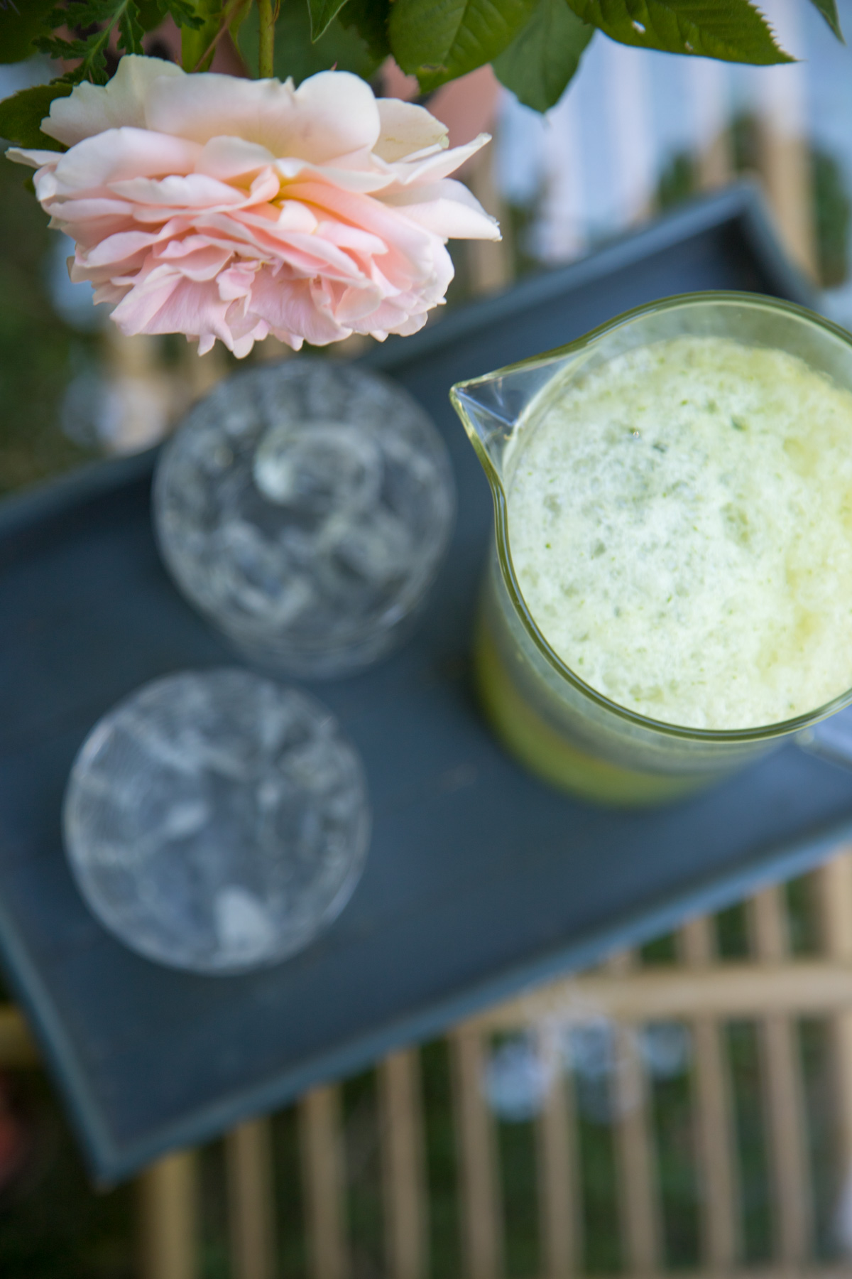 Die gro&szlig;e Erfrischung ist mit meiner Zitronen-Basilikum-Limonade garantiert! Ich mag es gerne sauer und besonders... Da ist diese Limonade einfach nur perfekt!