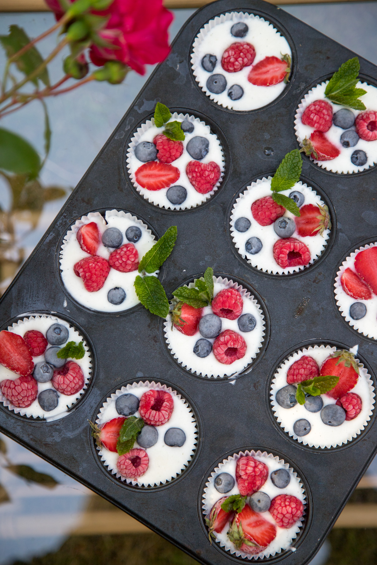 Diese selbstgemachte Frozen Joghurt Cups schmecken einfach der ganzen Familie! Die sind ganz nebenbei auch super unkompliziert zubereitet und machen was her...