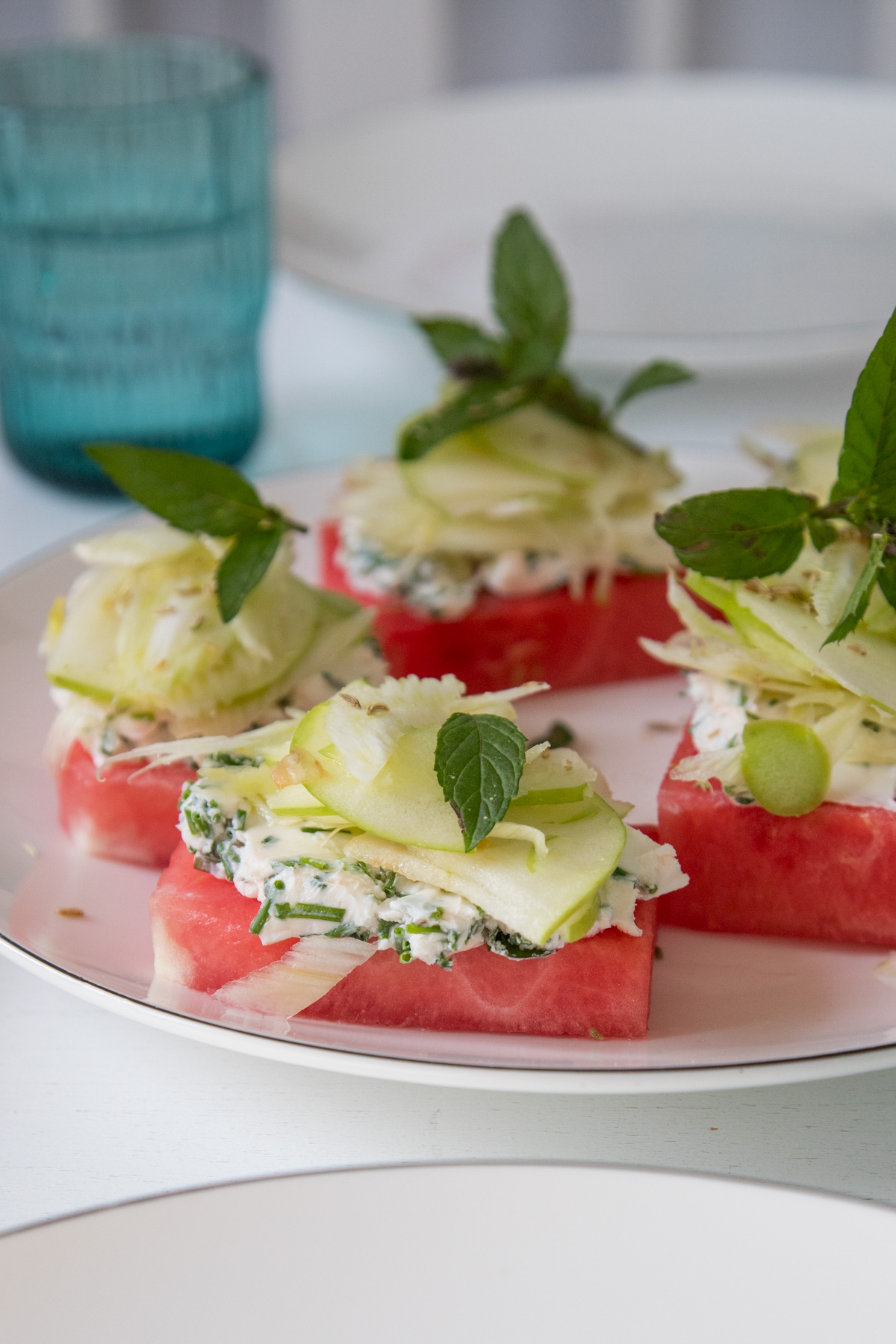 Wassermelone mit Ziegenkaese Fenchel und Apfel-0036 | tastesheriff