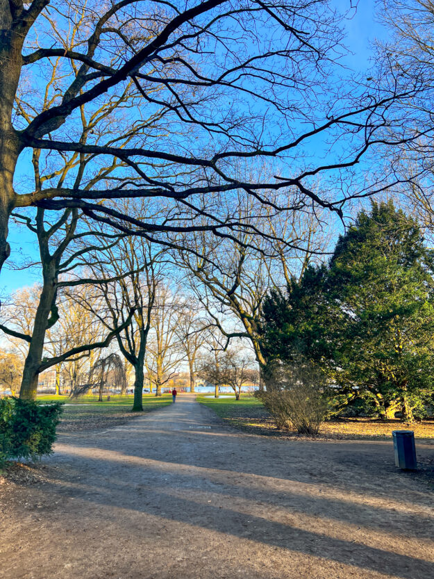 Jahresrückblick 2023 - Tastesheriff