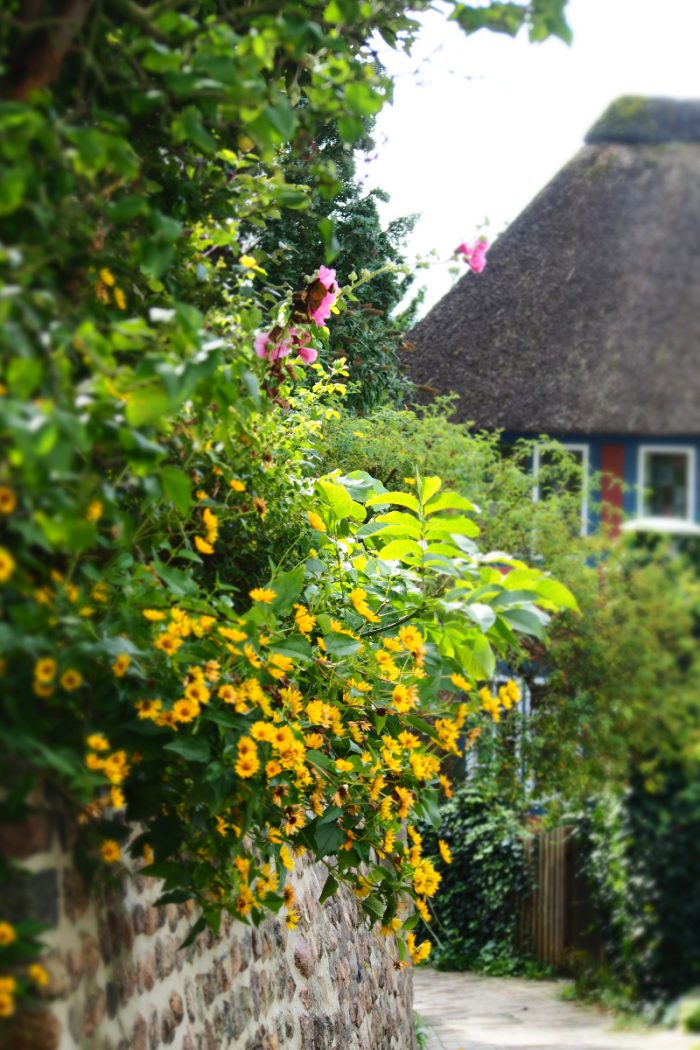 Das Kleine im Gro&szlig;en – Ein Spaziergang durch Blankenese