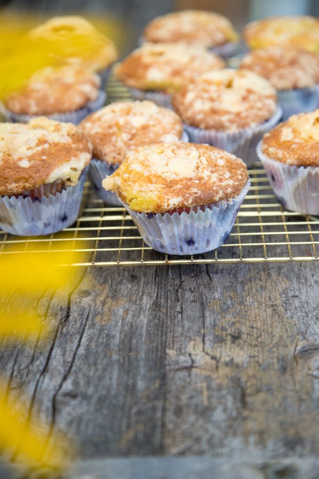 Frische Zitronen-Streusel-Muffins für die Sommerzeit gefällig? Diese kleinen Biester sind einfach der Knaller und waren ruck zuck aufgegessen. Probiert sie aus!
