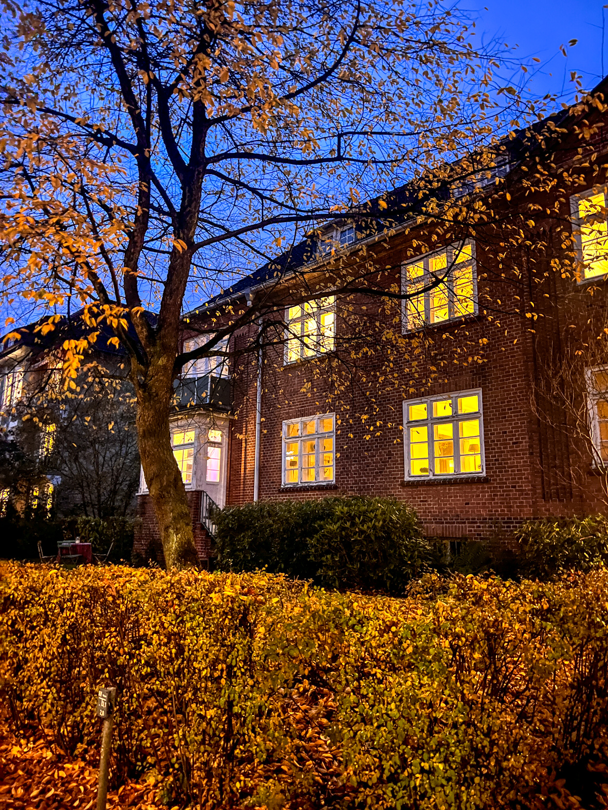 Ein Novembersonntag - 12von12