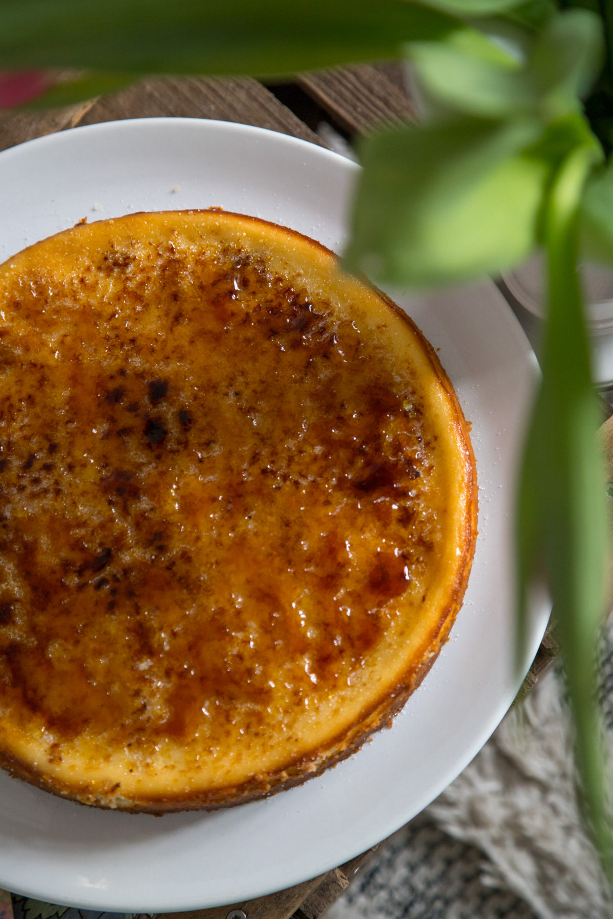 Ein super leckerer Crème Brûlée Cheesecake gef&auml;llig? Der macht mit seiner knackigen Zuckerschicht richtig was her und ist in der Zubereitung auch unkompliziert.