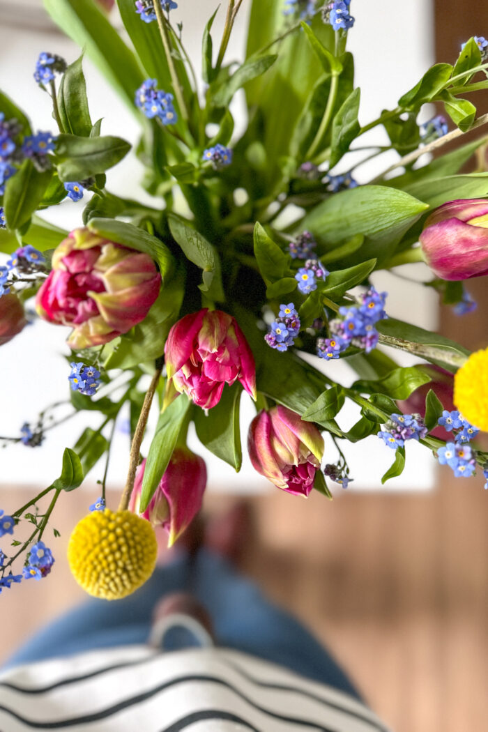 12von12 im M&auml;rz – Zwischen Spaghettieis, Pflanzenanzucht und Alltag