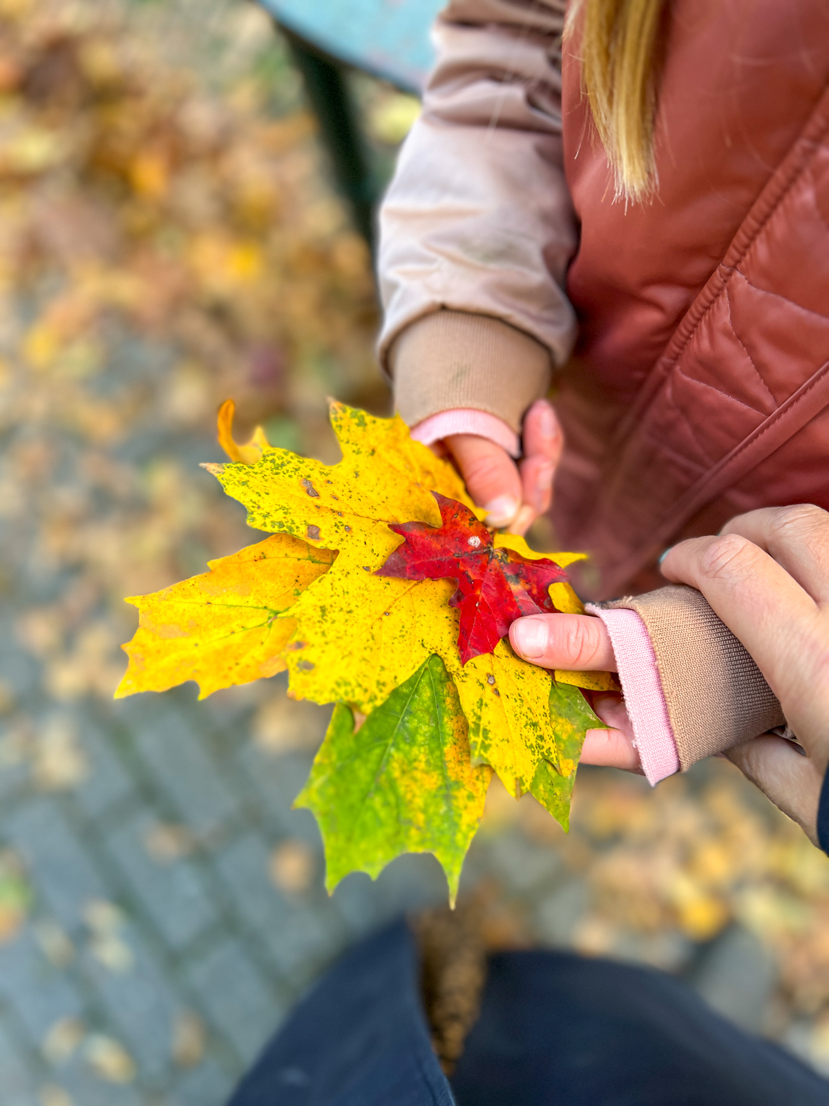In den Herbstferien habe ich eine Deutschlandreise mit meinen T&ouml;chtern - von Hamburg &uuml;ber Wuppertal, Trier an die Mosel.. und noch weiter! Kommt mit auf die Reise