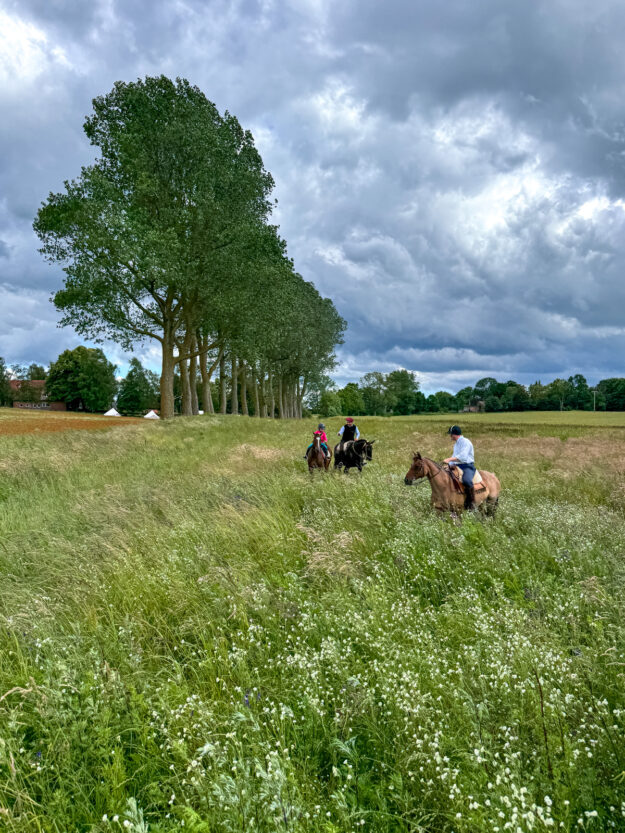 Die Pampa in Mecklenburg-Vorpommern - ein Wochenende auf der Cavalan Ranch