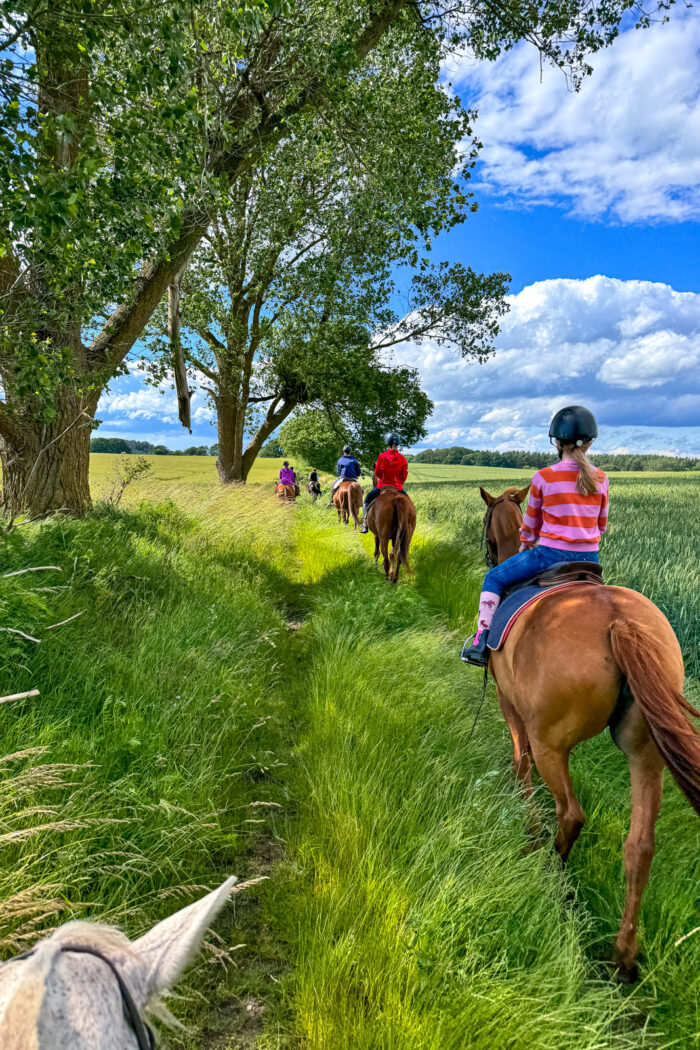 Die Pampa in Mecklenburg-Vorpommern – ein Wochenende auf der Cavalan Ranch