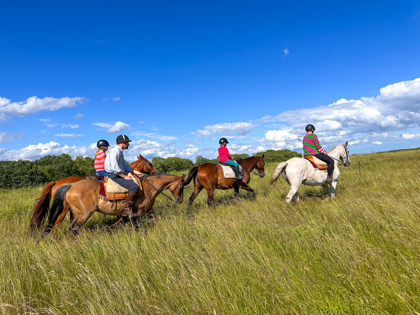 Die Pampa in Mecklenburg-Vorpommern - ein Wochenende auf der Cavalan Ranch