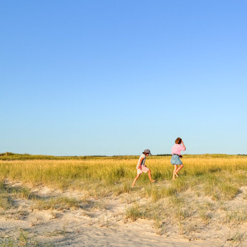Urlaubsmodus mit Softeis und dänischer Heide - 12von12