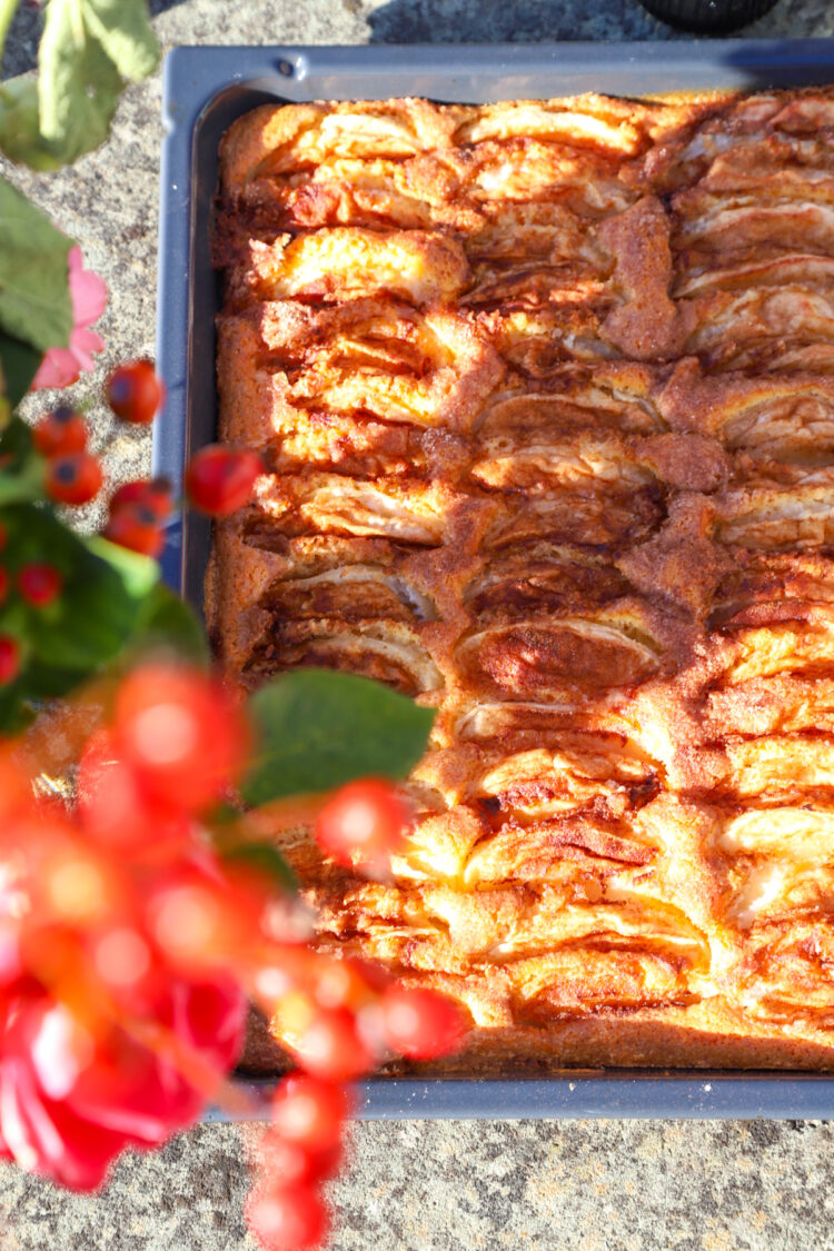 Entdecke unser Familienrezept für klassischen Apfelkuchen vom Blech – saftig, fruchtig und einfach köstlich! Perfekt für jede Gelegenheit und leicht zu backen.