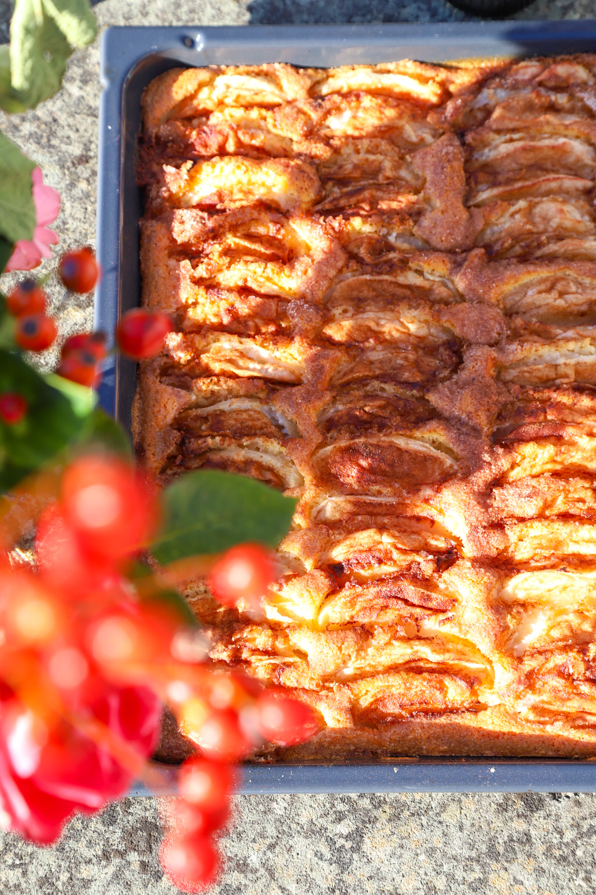 Entdecke unser Familienrezept für klassischen Apfelkuchen vom Blech – saftig, fruchtig und einfach köstlich! Perfekt für jede Gelegenheit und leicht zu backen.