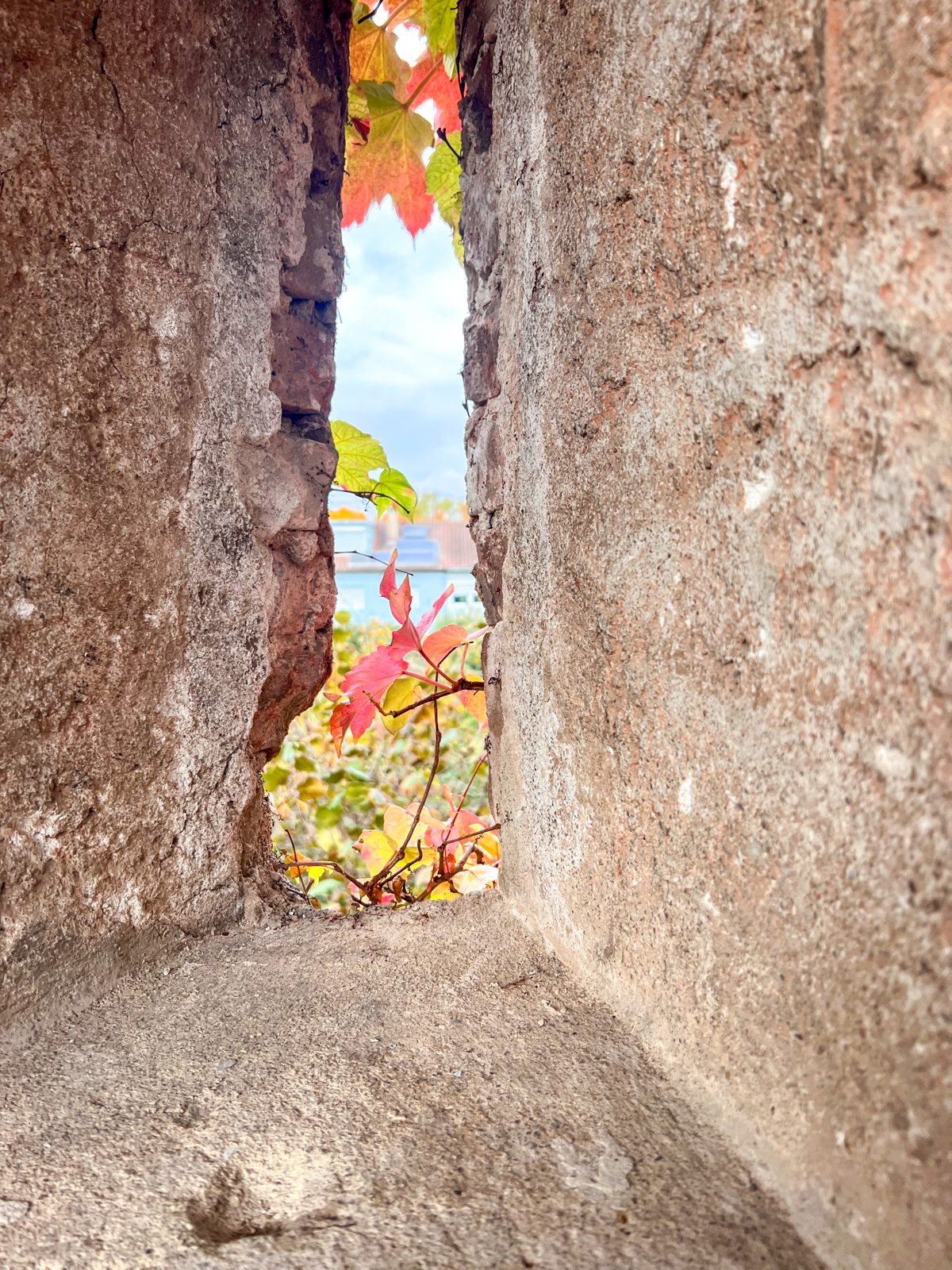 Unsere Reise nach Bayerisch Schwaben - von N&ouml;rdlingen bis zum Schloss Blumenthal