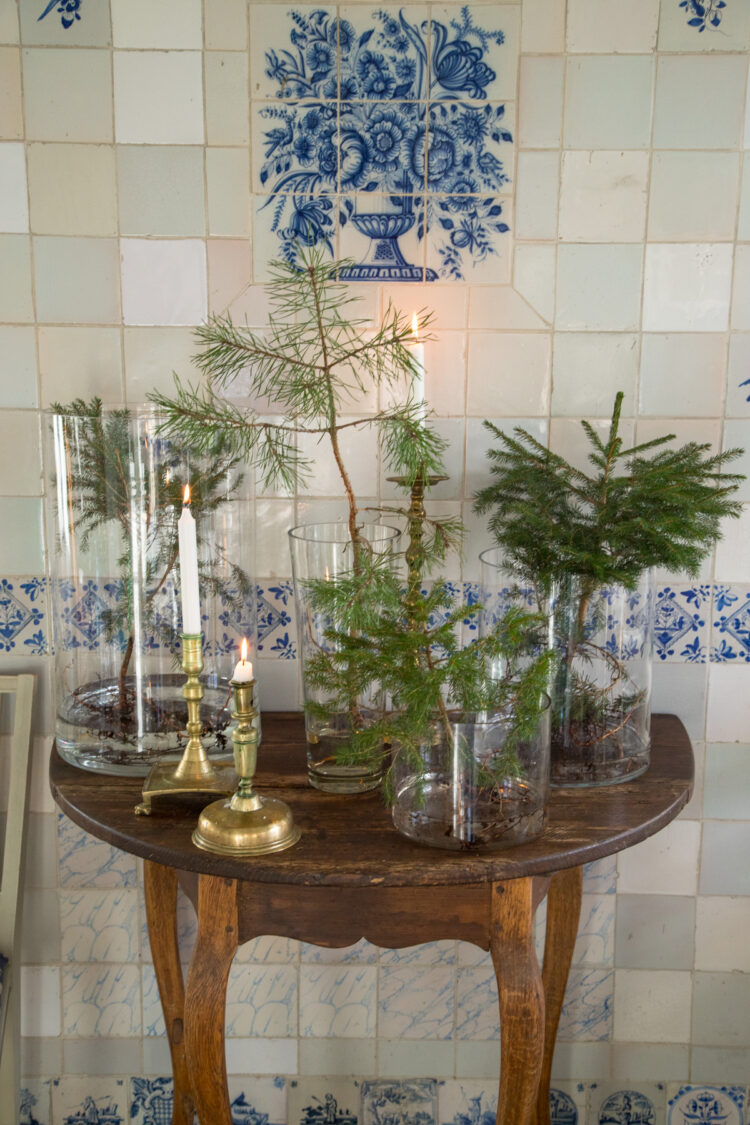 Endlich mal eine andere Weihnachtsdekoration. Kleine Weihnachtsbäume in Vasen! Stilvoll, platzsparend & festlich – perfekt für ein modernes Weihnachtsambiente.