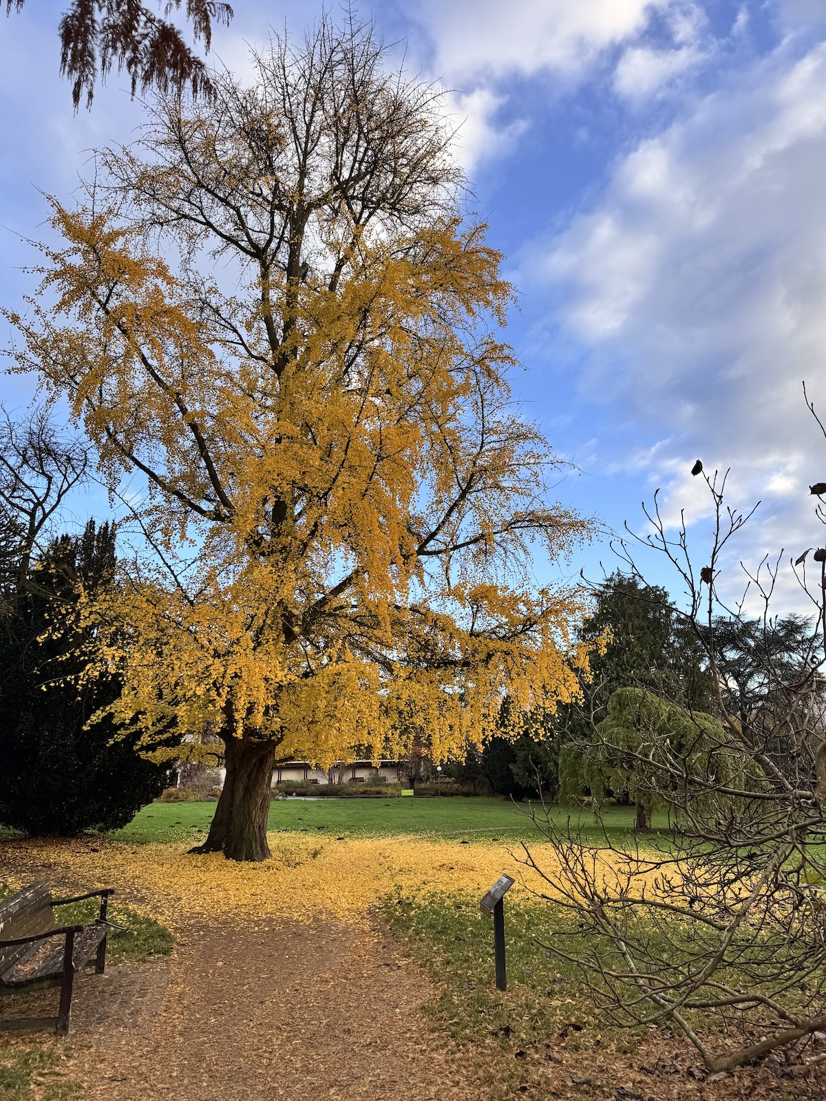 Jahresr&uuml;ckblick tastesheriff 2024