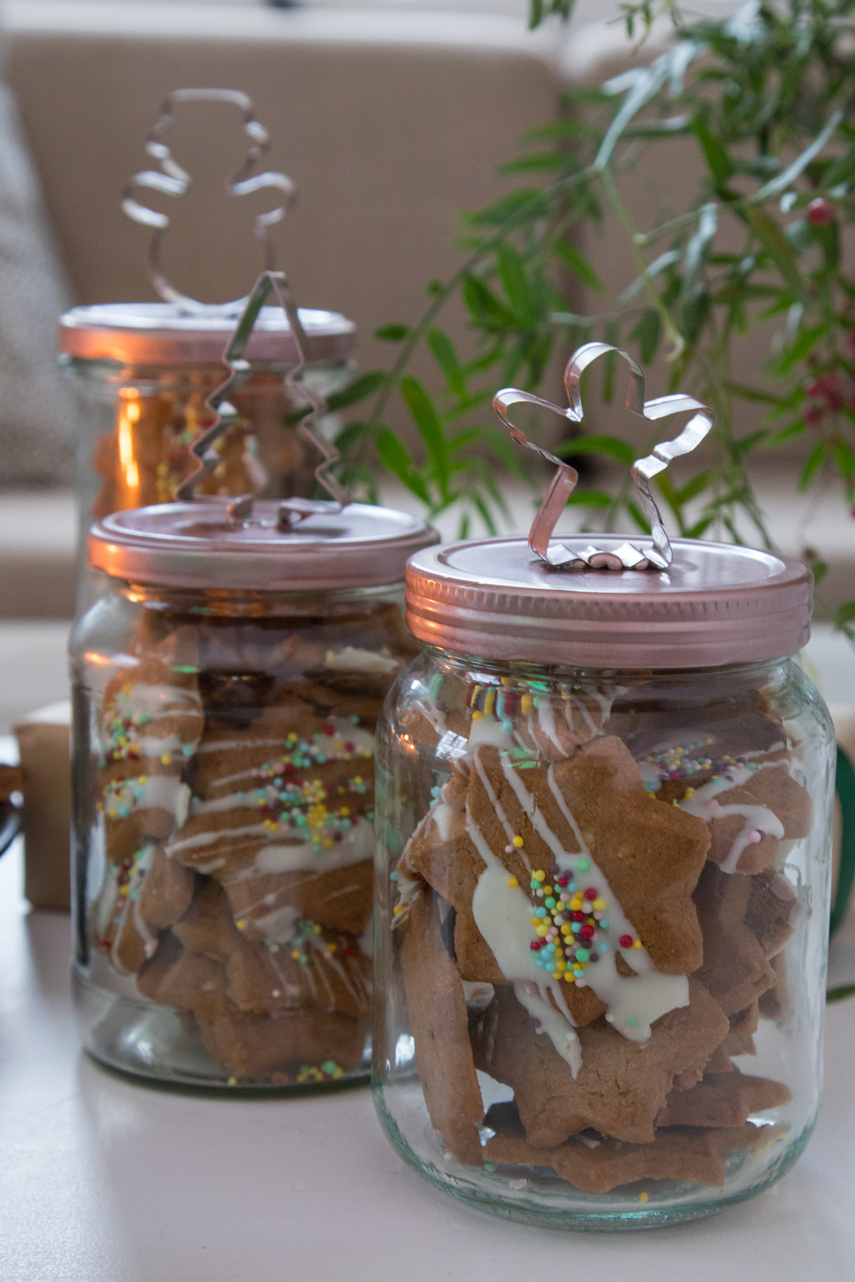 Verschenkt Freude mit selbstgemachten Keksgl&auml;sern! Kreative DIY-Geschenkidee: Liebevoll verpackte Kekse – perfekt f&uuml;r jeden Anlass. Einfach, pers&ouml;nlich, lecker!