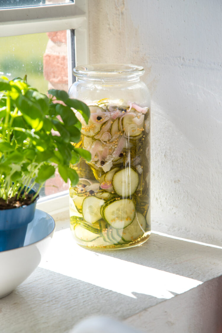 Knackig, süß-sauer und einfach selbst gemacht: Diese eingelegten ...