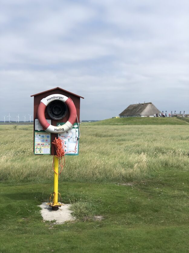 Urlaub in Nordfriesland - ein Tagesausflug zur Hamburger Hallig