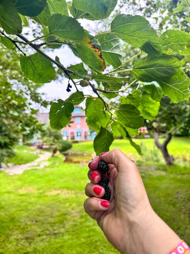 Sommer an der Nordsee - 12 von 12 - kommt mit durch unseren Tag