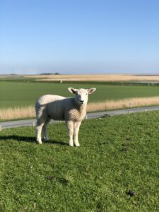 Ferien in Nordfriesland