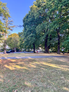 Unterwegs und trotzdem in Flow - 12 von 12 im September