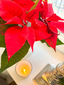 Drei Wochen vor Weihnachten – und alles ist etwas anders. Ich nehme Euch mit durch eine Woche voller To-dos, Karten, Kalender und der Erinnerung, gut zu sich selbst zu sein. Inklusive Checkliste zum Ausdrucken.