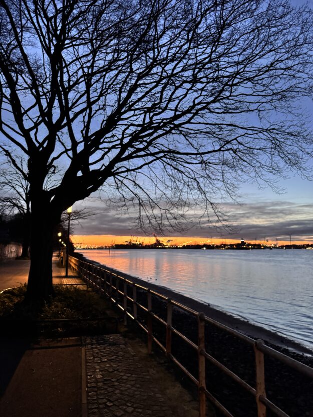 Jahresrückblick 2025 auf tastesheriff.com: Familie, Alltag, Reisen, Rezepte und kleine Glücksmomente – und warum ich dieses Jahr trotzdem festhalten wollte.