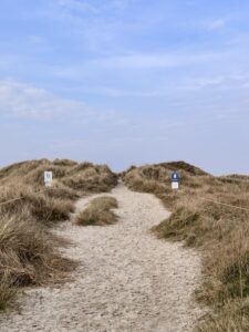 Jahresr&uuml;ckblick 2025 auf tastesheriff.com: Familie, Alltag, Reisen, Rezepte und kleine Gl&uuml;cksmomente – und warum ich dieses Jahr trotzdem festhalten wollte.