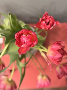 Jahresr&uuml;ckblick 2025 auf tastesheriff.com: Familie, Alltag, Reisen, Rezepte und kleine Gl&uuml;cksmomente – und warum ich dieses Jahr trotzdem festhalten wollte.