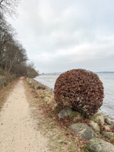 Ein Wochenende im Alter Meierhof an der Flensburger F&ouml;rde: neue Hof-Therme, herzlicher Service und 2-Sterne-Kulinarik im Restaurant Meierei.